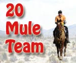 20 Mule Team